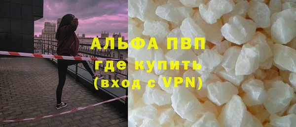твердый Магас