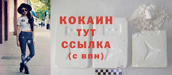 твердый Магас