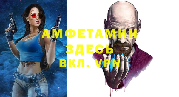 твердый Магас